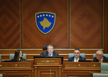 Deputeti i VV-së e quan “fontanë dëshirash” që Bogujevci apo Selimi të propozohen për Kryetare të Kuvendit