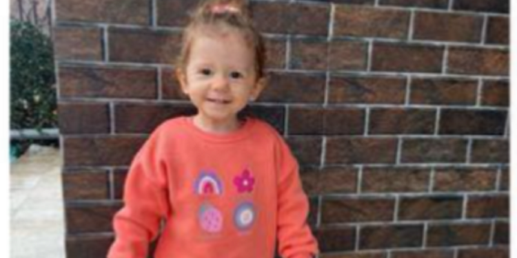 Omea 2-vjeçare po përballet me një sëmundje të rëndë, ka nevojë urgjente për ndihmë