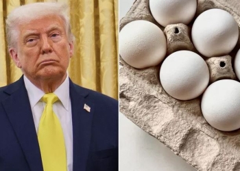 Donald Trump reagon ndaj kostos së vezëve në SHBA: Çmimet kanë rënë, askush nuk flet për to