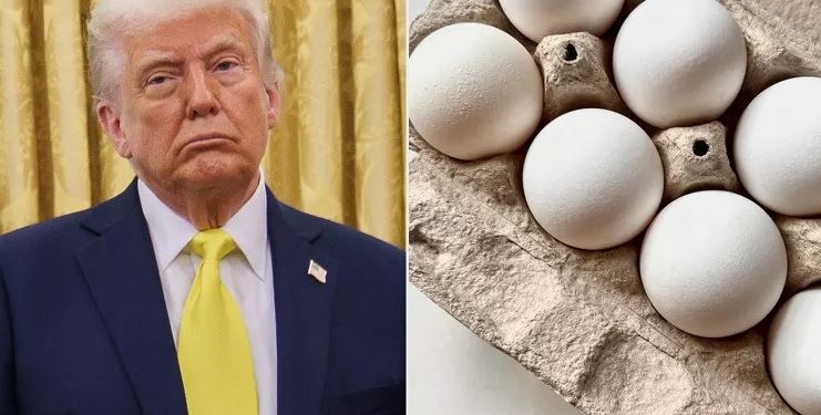 Donald Trump reagon ndaj kostos së vezëve në SHBA: Çmimet kanë rënë, askush nuk flet për to