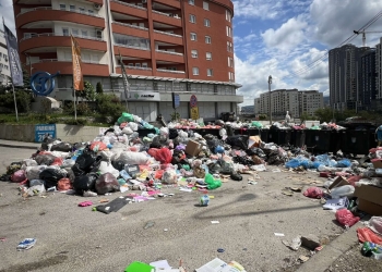 Kontejnerët tejmbushen në Dragodan, mbeturinat shtrihen nëpër rrugë