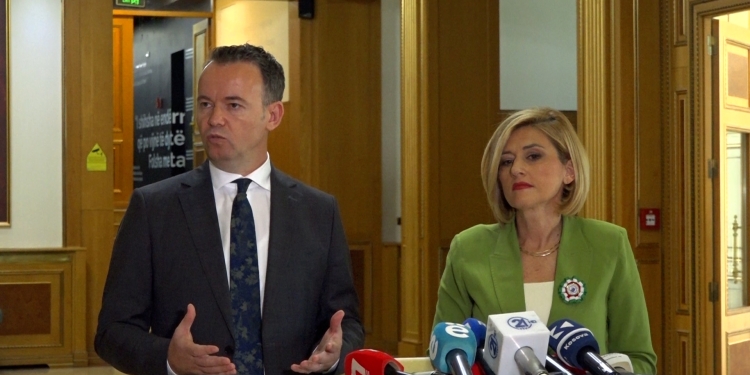 Peci: I kemi bërë të gjitha veprimet e dobishme që Kosovës t’i japim institucione