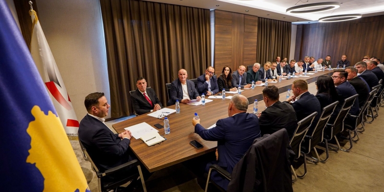 LDK nis zyrtarisht përgatitjet për Zgjedhjet Lokale 2025