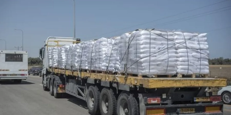 Ushtria izraelite: 100 kamionë me ndihma kanë hyrë në Gaza