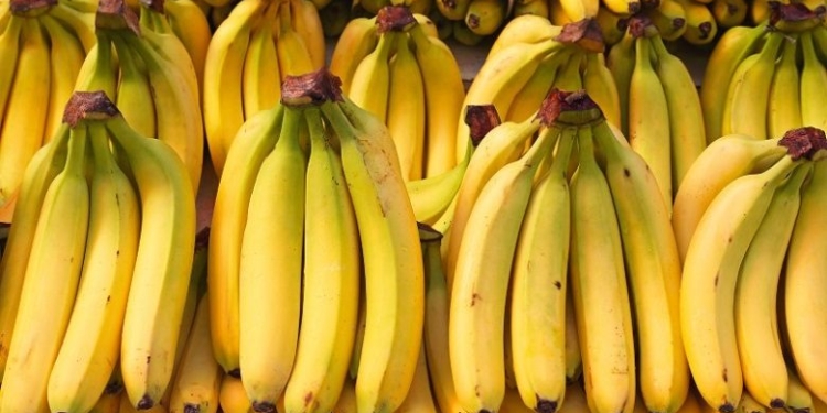 Ndryshimet klimatike po ‘vrasin’ frutin e preferuar