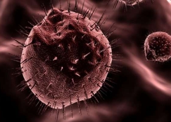 Kanceri i qafës së mitrës, i dyti më i përhapur tek gratë – Kur nisin kontrollet?