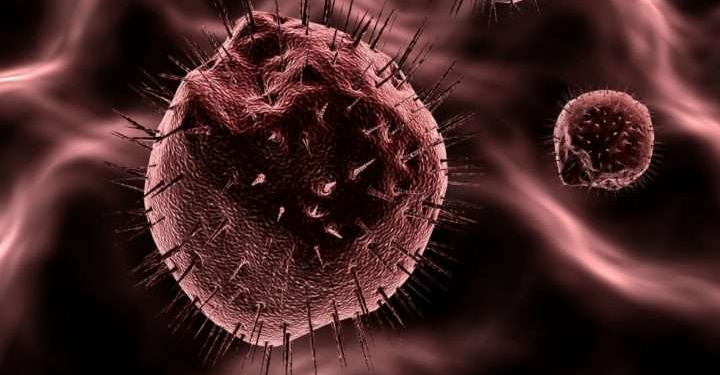 Kanceri i qafës së mitrës, i dyti më i përhapur tek gratë – Kur nisin kontrollet?