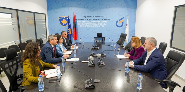 LDK-ja dorëzoi kërkesën në ZRrE për anulimin e shtrenjtimit të rrymës