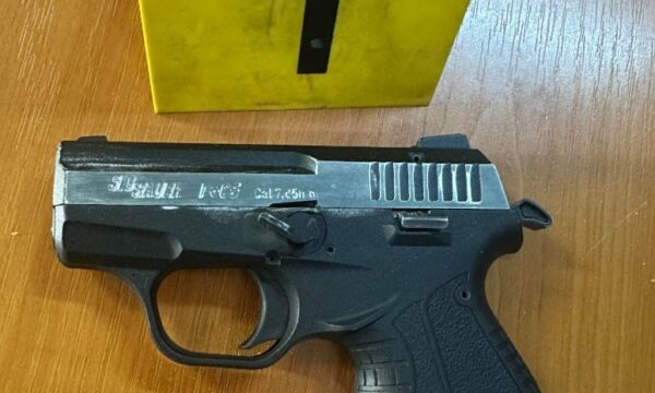 Gruaja e raporton burrin për kërcënim dhe ofendim- Policia ia konfiskon një armë atij, e liron në procedurë të rregullt