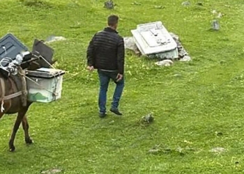 Kukësi me “metodë” speciale, kutitë e votimit në fshatin Bele dorëzohen me gomar
