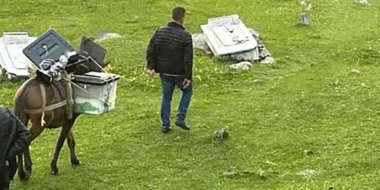 Kukësi me “metodë” speciale, kutitë e votimit në fshatin Bele dorëzohen me gomar