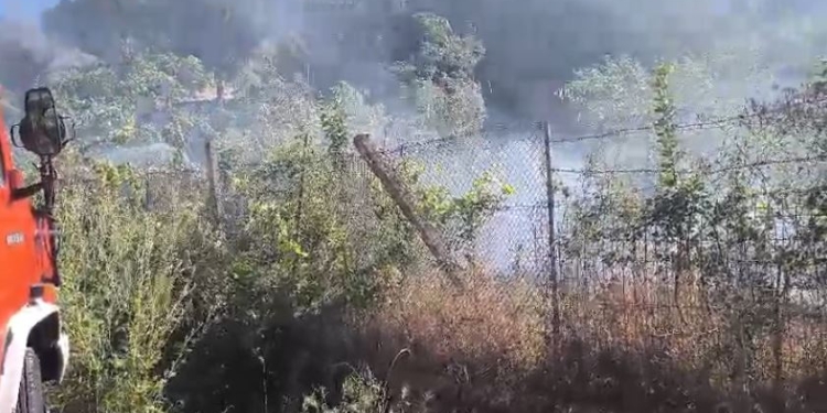 Flakët rrezikojnë banesat në Lazarat, zjarrfikësit ndërhyjnë për shuarjen e zjarrit