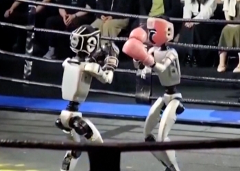 Robotët humanoidë ngjiten në ring, luftojnë në një garë kikboksi në Kinë