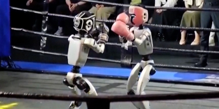Robotët humanoidë ngjiten në ring, luftojnë në një garë kikboksi në Kinë