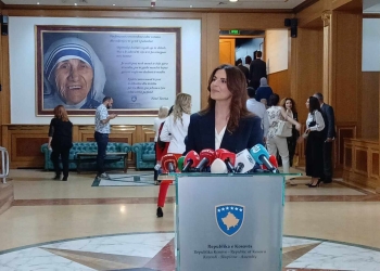Çitaku: Situatë absurde, Kosova është më e madhe se secila parti