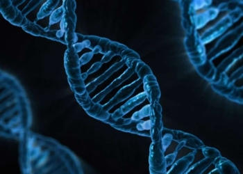 Nis projekti për të krijuar ADN-në artificiale njerëzore