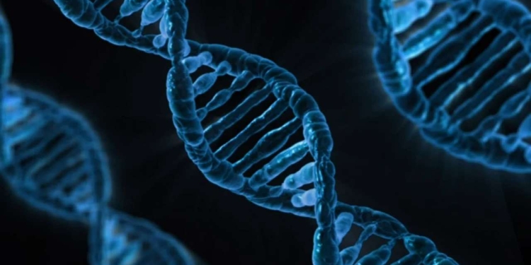 Nis projekti për të krijuar ADN-në artificiale njerëzore
