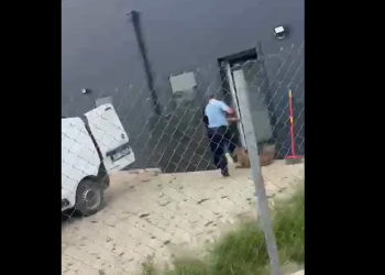 Një person keqtrajton një qen në strehimore, Fondacioni për të Drejtat e Kafshëve publikon pamjet