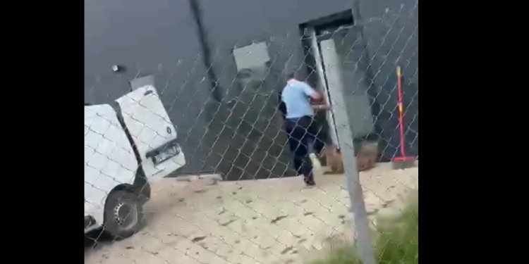 Një person keqtrajton një qen në strehimore, Fondacioni për të Drejtat e Kafshëve publikon pamjet