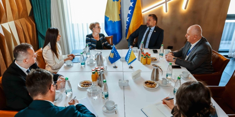 Ministrja Gërvalla takohet me homologun e Bosnjës dhe Hercegovinës, biseduan për bashkëpunim të mëtejshëm