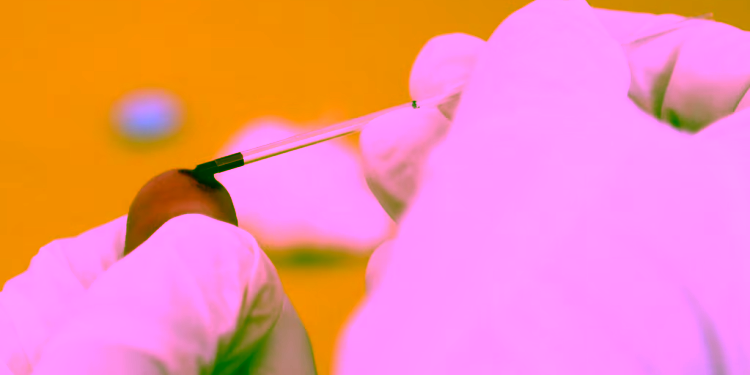 HIV në rritje: 10 raste të reja në pesë muaj