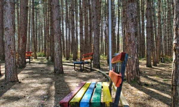 OBSH: Shumë sëmundje lindin si pasojë e vetmisë