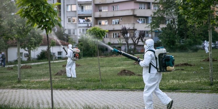 I bllokohet në OSHP tenderi, Komuna e Prishtinës nis dezinsektimin hapësinor me procedurë urgjente dhe pa garë