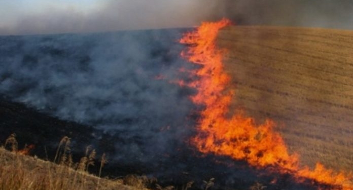Agjencia e Menaxhimit Emergjent thirrje qytetarëve: Kujdes të shtuar verës, rrezik i shtuar për zjarre