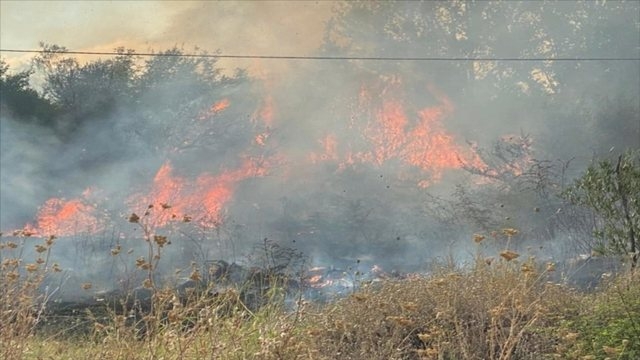 Stabilizohet situata nga zjarret në Vlorë: Të gjitha vatrat nën kontroll