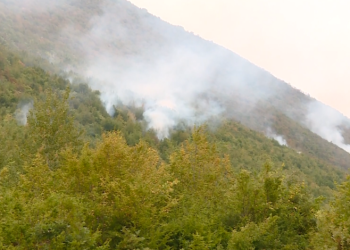 Temperaturat e larta, MPB me vendim ndalon ndezjen e zjarreve në ambiente të hapura