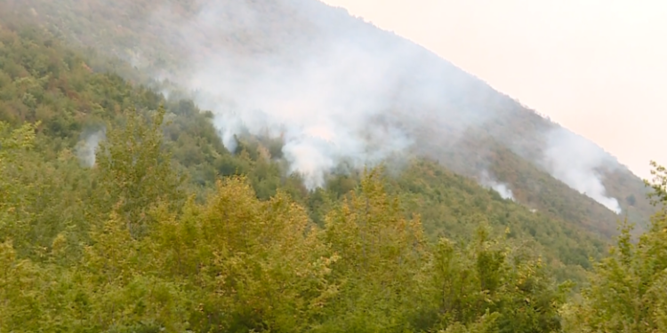 Temperaturat e larta, MPB me vendim ndalon ndezjen e zjarreve në ambiente të hapura