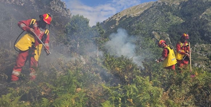 Situata e zjarreve në Shqipëri – 5 vatra janë ende aktive