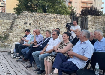 Idrizi: Diaspora shtylla e zhvillimit ekonomik dhe social të Kosovës, atdheu na bashkon