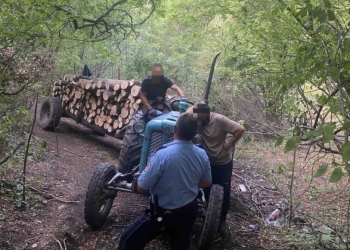 Policia në Zveçan arreston dy persona për vjedhje të pyllit