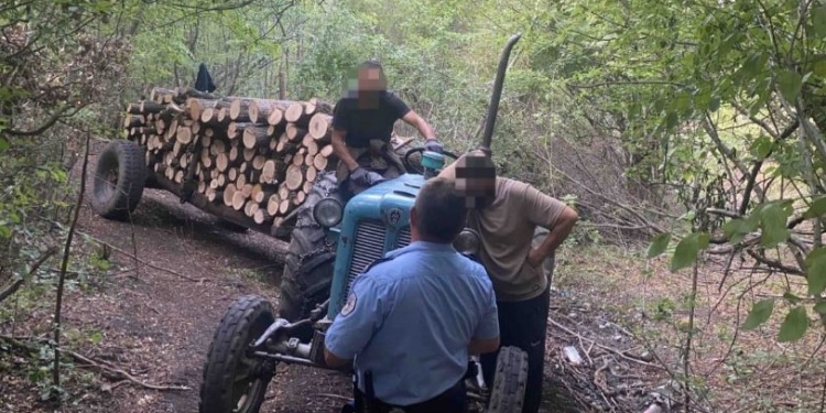 Policia në Zveçan arreston dy persona për vjedhje të pyllit