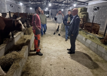 Smajl Latifi viziton fermerin e blegtorin Shefqet Kastrati në Zatriq