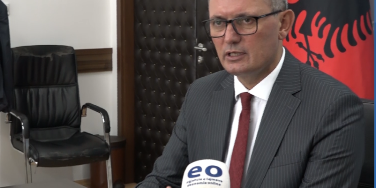 Ferizaj me Strehimore për qentë endacakë