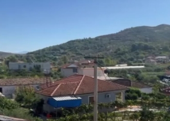 Një fermeri në Lushnjë ia hëngri ujku 40 krerë dele dhe dhi