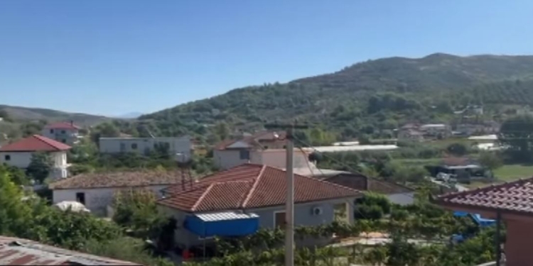 Një fermeri në Lushnjë ia hëngri ujku 40 krerë dele dhe dhi