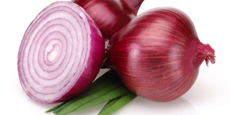 Lëngu i qepës, kundër rënies së flokut
