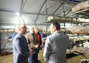 Ismajli viziton fabrikën e kërpudhave në Livoç të Ulët: Do të mbështesim bizneset lokale