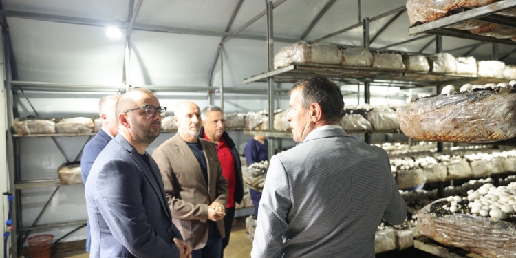 Ismajli viziton fabrikën e kërpudhave në Livoç të Ulët: Do të mbështesim bizneset lokale