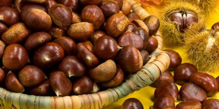 Përveç se janë të shijshme, cilat janë përfitimet shëndetësore që sjellin gështenjat?