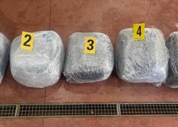Dogana e Kosovës kap mbi 100 kg drogë në një autobus të ardhur nga Shqipëria
