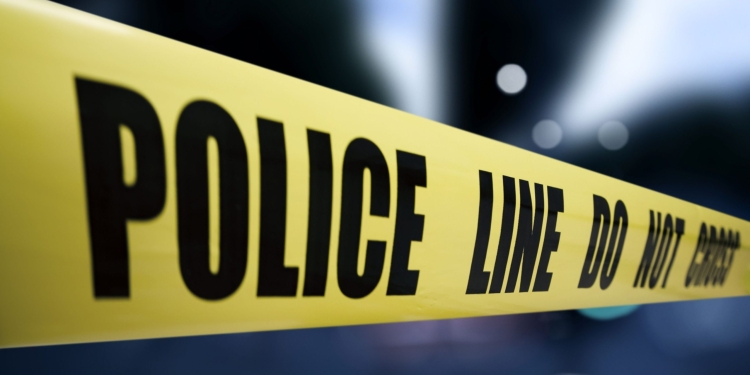 Ngjarje tragjike në Los Angeles, 13-vjeçarja vret me armë zjarri 16-vjeçarin