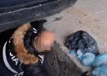 Arrestohet në Tropojë një person që po sillte drogë e municion luftarak në Kosovë, Policia: Po punojmë për kapjen e atij që do t’i blinte