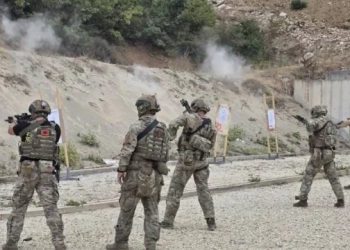 Plagosja e ushtarit, FSK: Rasti ndodhi aksidentalisht, arma e përdorur nuk është zyrtare