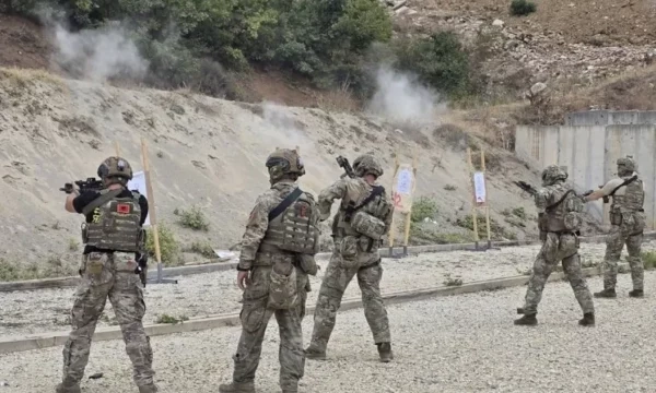 Plagosja e ushtarit, FSK: Rasti ndodhi aksidentalisht, arma e përdorur nuk është zyrtare