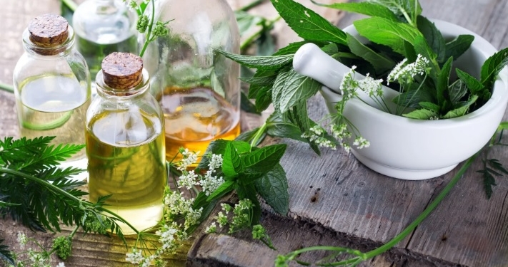 Fuqitë shëruese të natyrës: Si bimët medicinale mund të përmirësojnë shëndetin tuaj?
