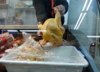 Gjendet salmonela në një ngarkesë me mish pule nga Rumania në Prizren